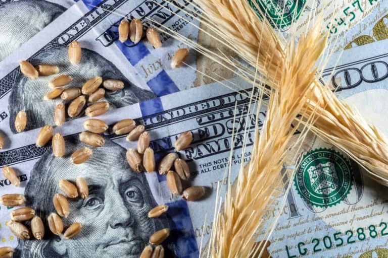 farm service agency loan program