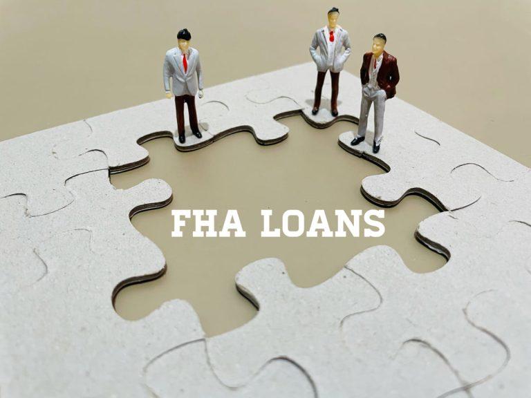 federal government loans explanation